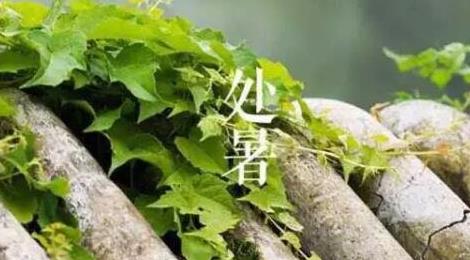 處暑的含義是什么意思