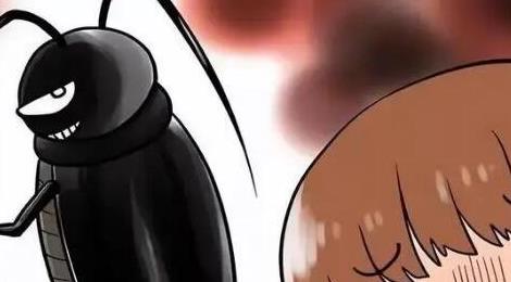 蟑螂會(huì )靠近熟睡的人嗎