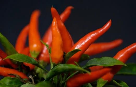 九個(gè)最準懷男孩胎夢(mèng)