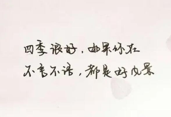 最肉麻情話(huà)短句很甜的小短句20條