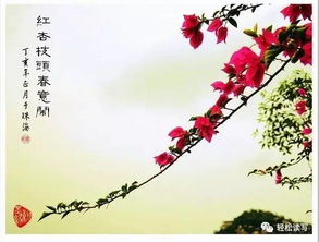 紅杏枝頭春意鬧典故