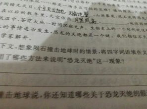 典故,詞語(yǔ),四字