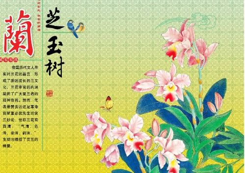 玉樹(shù),典故,蘭芝