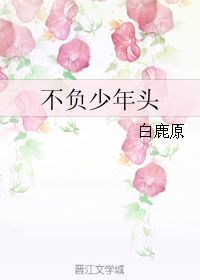 不負少年頭汪精衛,壯志不負少年頭,不負少年頭全詩(shī)解讀