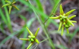 徐長(cháng)卿的典故