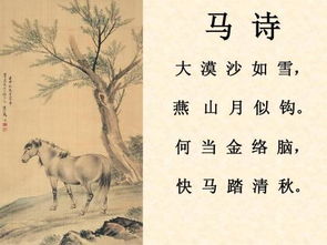 金絡(luò )腦典故