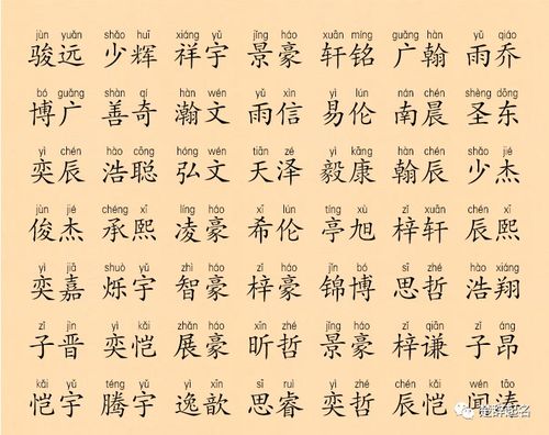 典故詩(shī)詞取名男孩