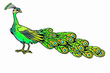 愛(ài)惜羽毛典故