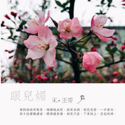 關(guān)于海棠的典故