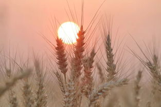 滿(mǎn)招損謙受益的典故