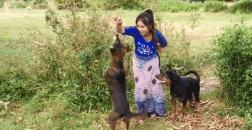 好女不養狗典故