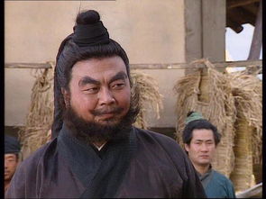 張飛的經(jīng)典故事有哪些,張飛的經(jīng)典故事情節,張飛的經(jīng)典故事名稱(chēng)