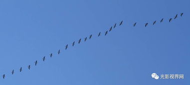 關(guān)于雁的典故,關(guān)于云的典故,云的典故成語(yǔ)