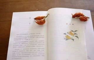 節氣,典故,二十四