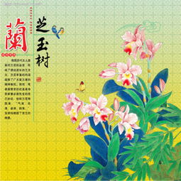 玉樹(shù)蜀典故