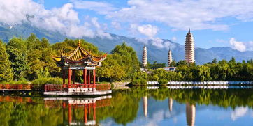 有關(guān)鳳凰的典故,鳳凰戴孝的典故,梧桐樹(shù)和鳳凰的典故