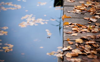 大恩即大仇典故