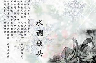 水調歌頭蘇軾典故