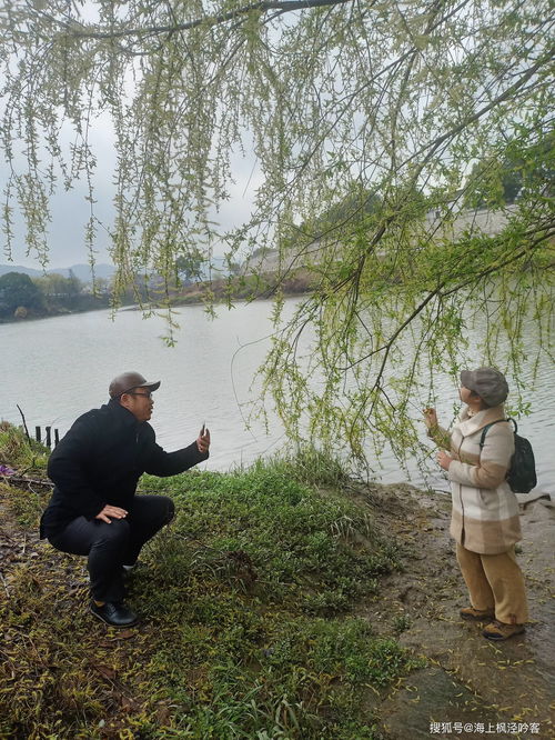 柳樹(shù)的典故