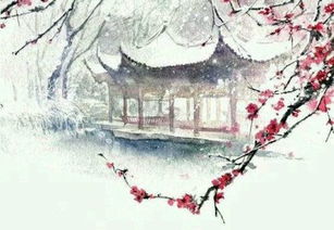 典故,月明,天風(fēng),飛錫下