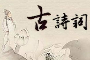 典故,古詩(shī),善于,詞中