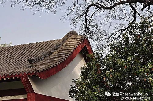 典故,詩(shī)句,騰王閣序