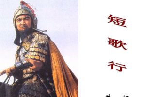 短歌行運用典故的作用,短歌行典故賞析,短歌行運用典故的句子