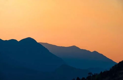 金縷曲贈梁汾典故