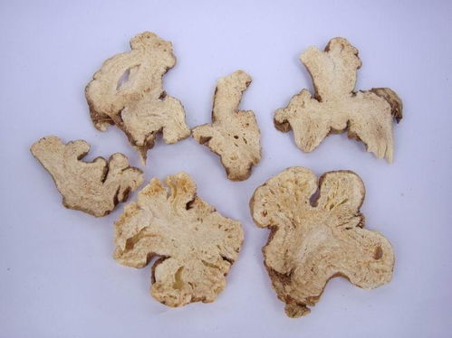 白術(shù)的典故