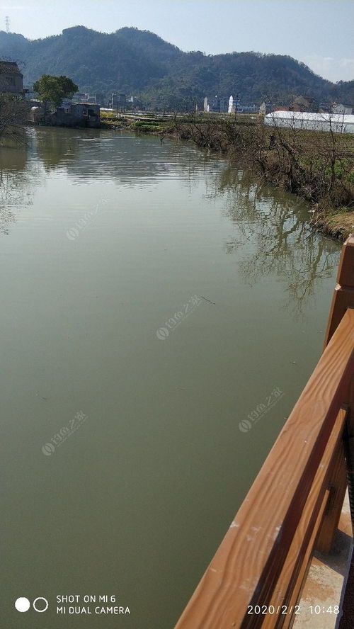 垂釣,典故,者徒有羨魚(yú)情