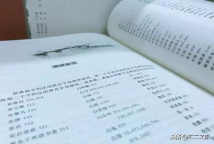 杜甫詩(shī)和典故