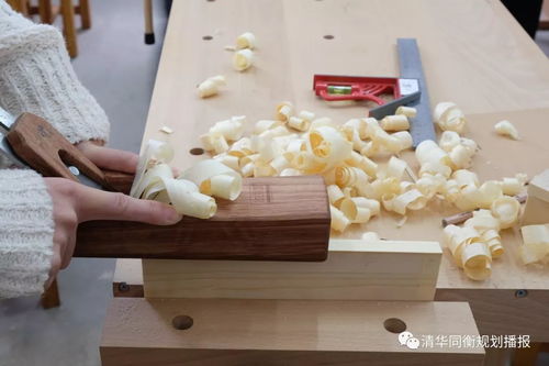 舌燦蓮花典故,舌燦蓮花還是舌綻蓮花,穿書(shū)之舌燦蓮花