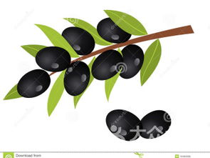 anolivebranch典故,theolivebranch典故,TheDoveandtheOliveBranch