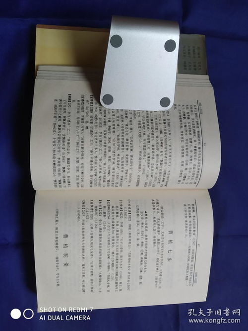 唐詩(shī)典故辭典