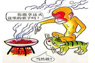 與火有關(guān)的典故,帶金字的典故,中國帶六的典故