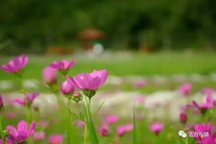 慈溪慈孝文化典故,關(guān)于孝的典故,與孝有關(guān)的典故