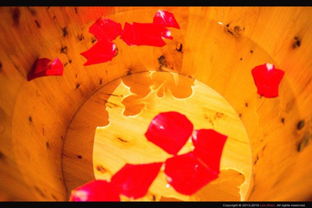 有關(guān)秦國的典故,有關(guān)周朝的典故,不服周的典故