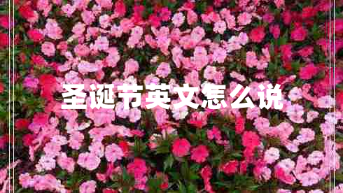 圣誕節英文怎么說(shuō)