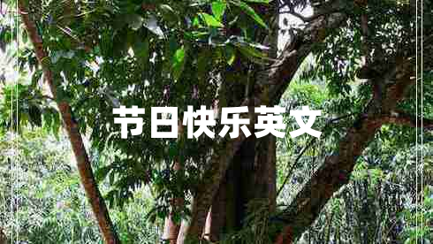 節日快樂(lè )英文