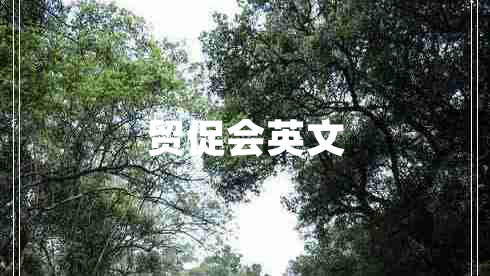 貿促會(huì )英文