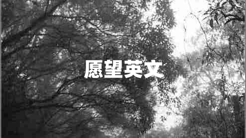 愿望英文 愿望英文