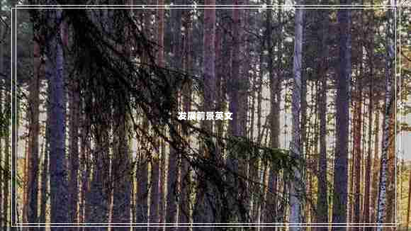 發(fā)展前景英文 發(fā)展前景英文