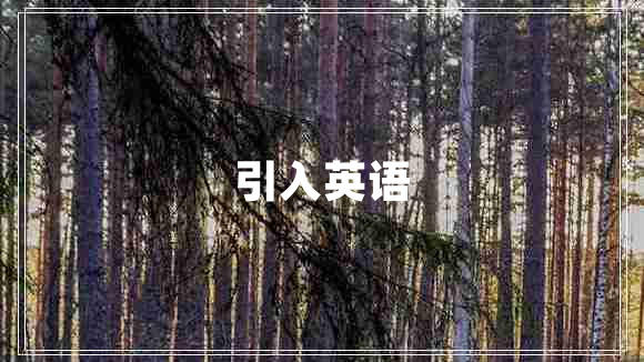 引入英語(yǔ)