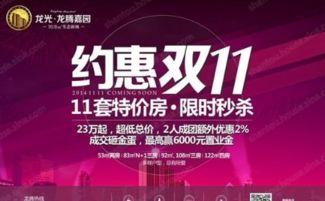 房地產(chǎn)雙十一活動(dòng)策劃方案