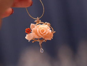 珊瑚保護策劃方案