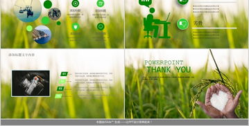 大米營(yíng)銷(xiāo)策劃方案ppt