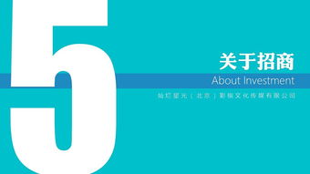 關(guān)于網(wǎng)戀的訪(fǎng)談節目策劃方案