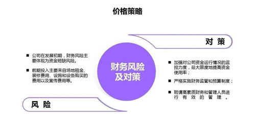 薯片營(yíng)銷(xiāo)策劃方案論文