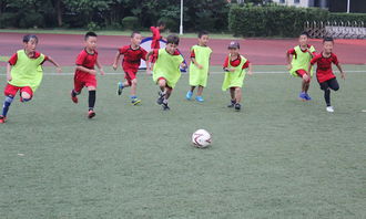 足球夏令營(yíng)活動(dòng)策劃方案