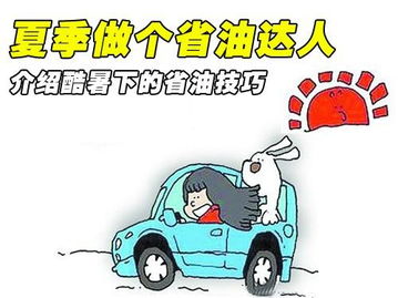 汽車(chē)節油賽策劃方案